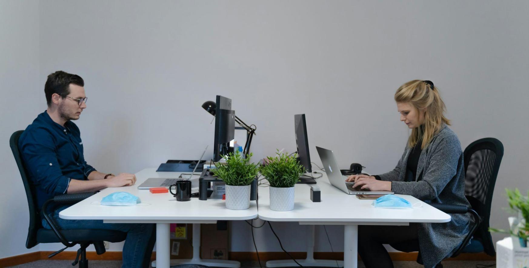 Consultation personnalisée en gestion financière